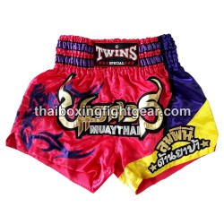Twins muay thai boxing...