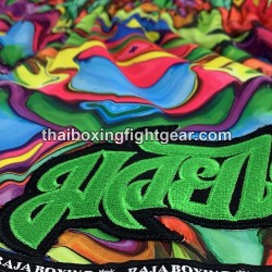 Raja Boxing Muay Thai Boxing Shorts Colorful | Muay Thai Shorts
