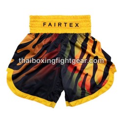 Fairtex BT2002 Muay Thai Boxing Shorts | Shorts